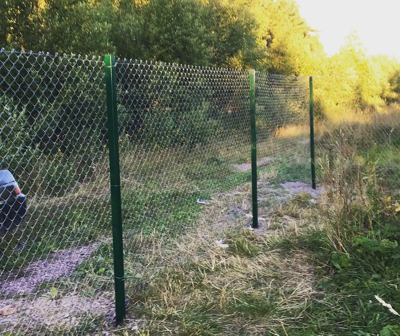 Забор из сетки рабица 2 метра фото в Москве