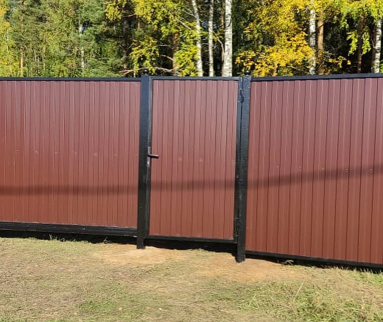 Забор из профнастила 2 метра фото цена за метр